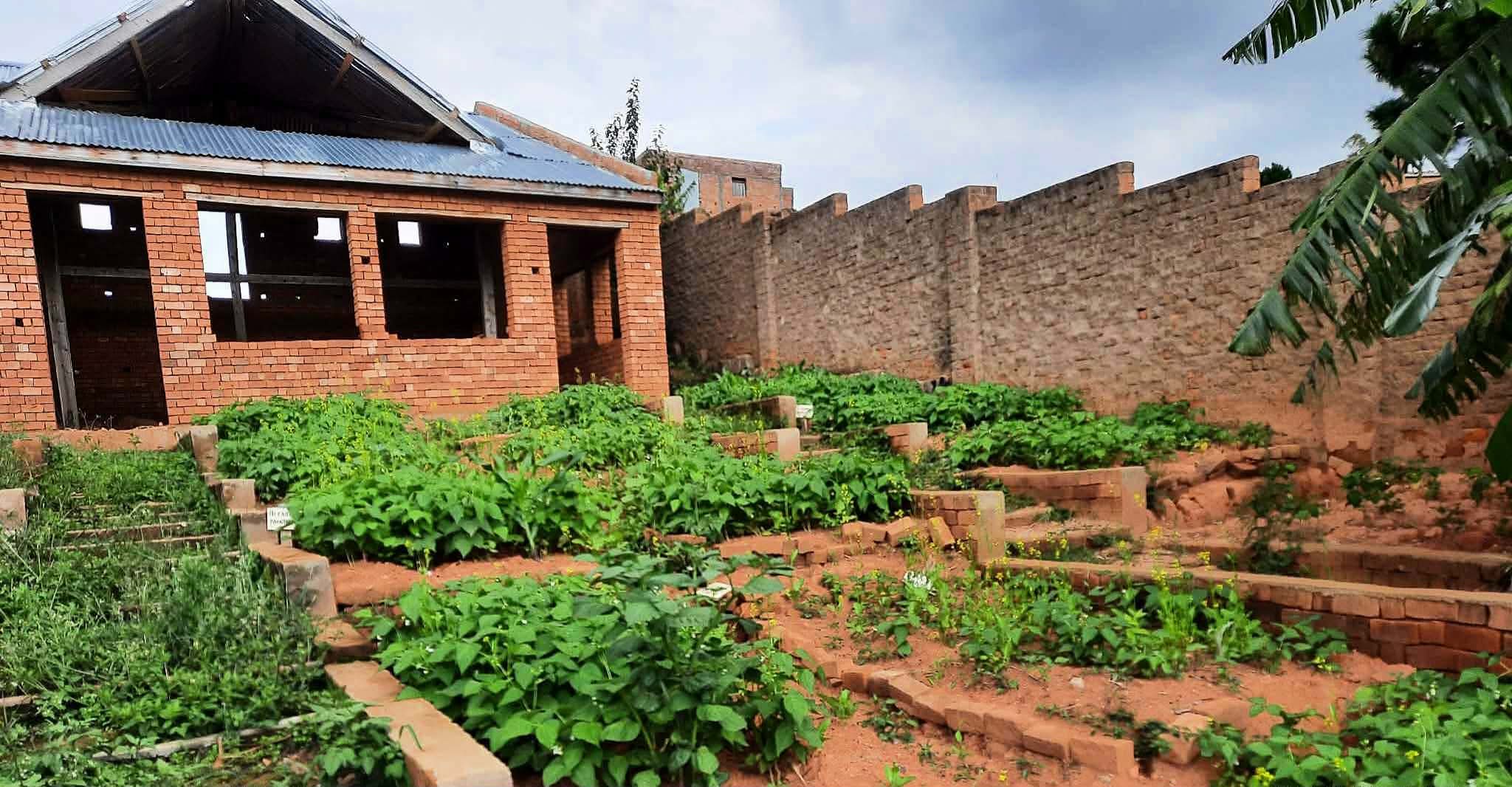 Jardins et activités autour de la terre